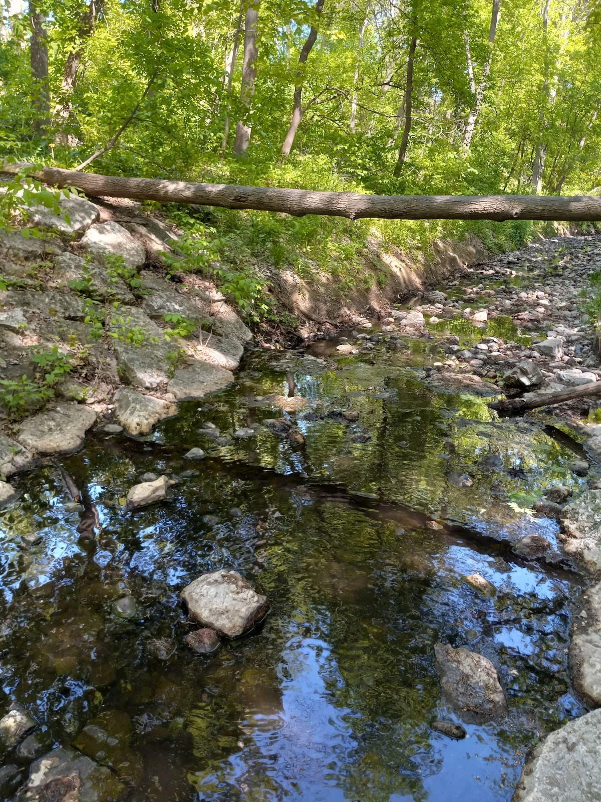 Peabody Park - Image 1