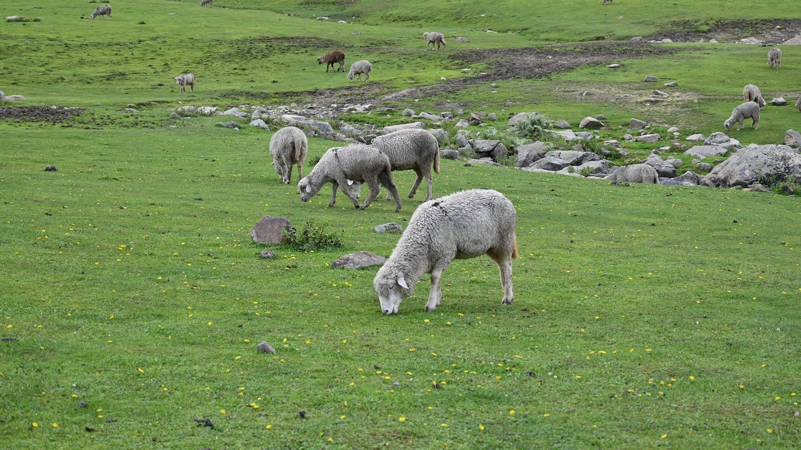 Khilanmarg - Image 1