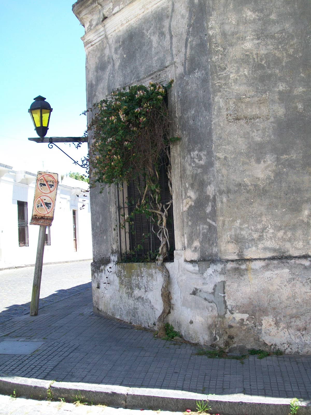 Vertical photo
