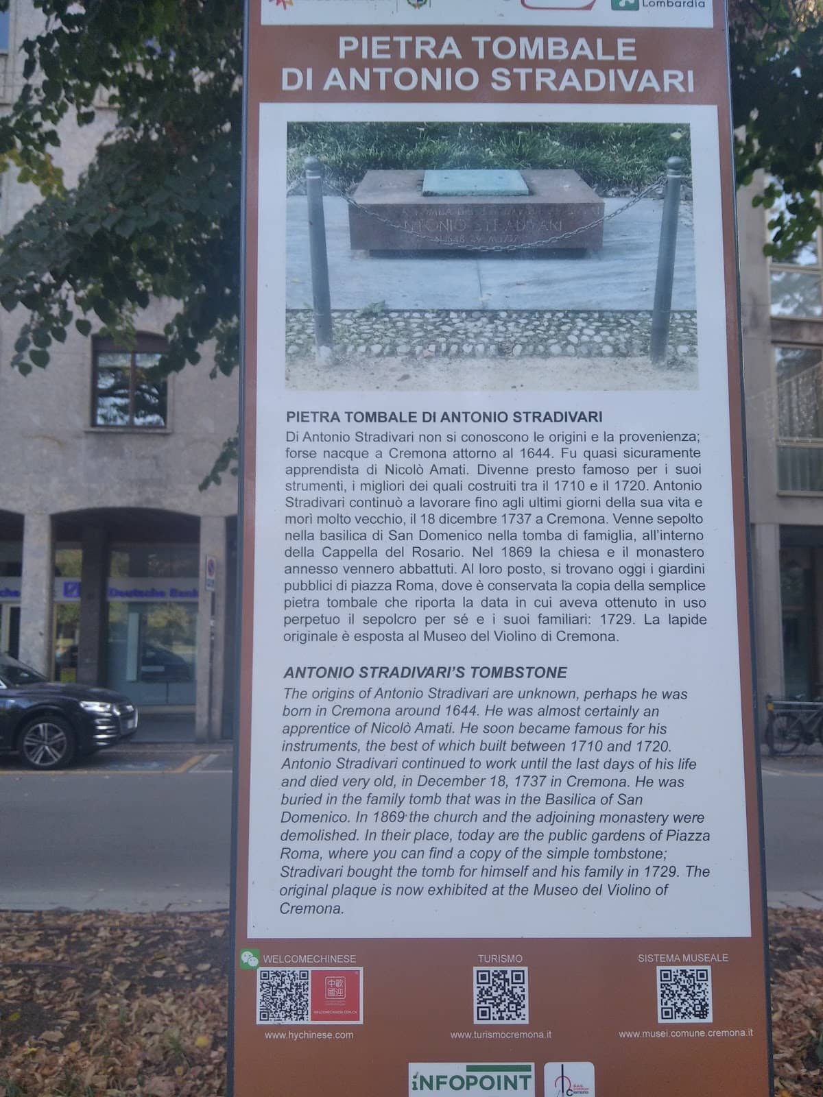 Vertical photo