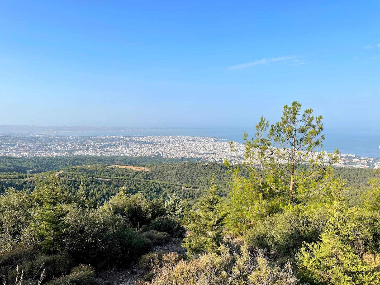 Seich Sou Forest Kedrinos Lofos - Image 1