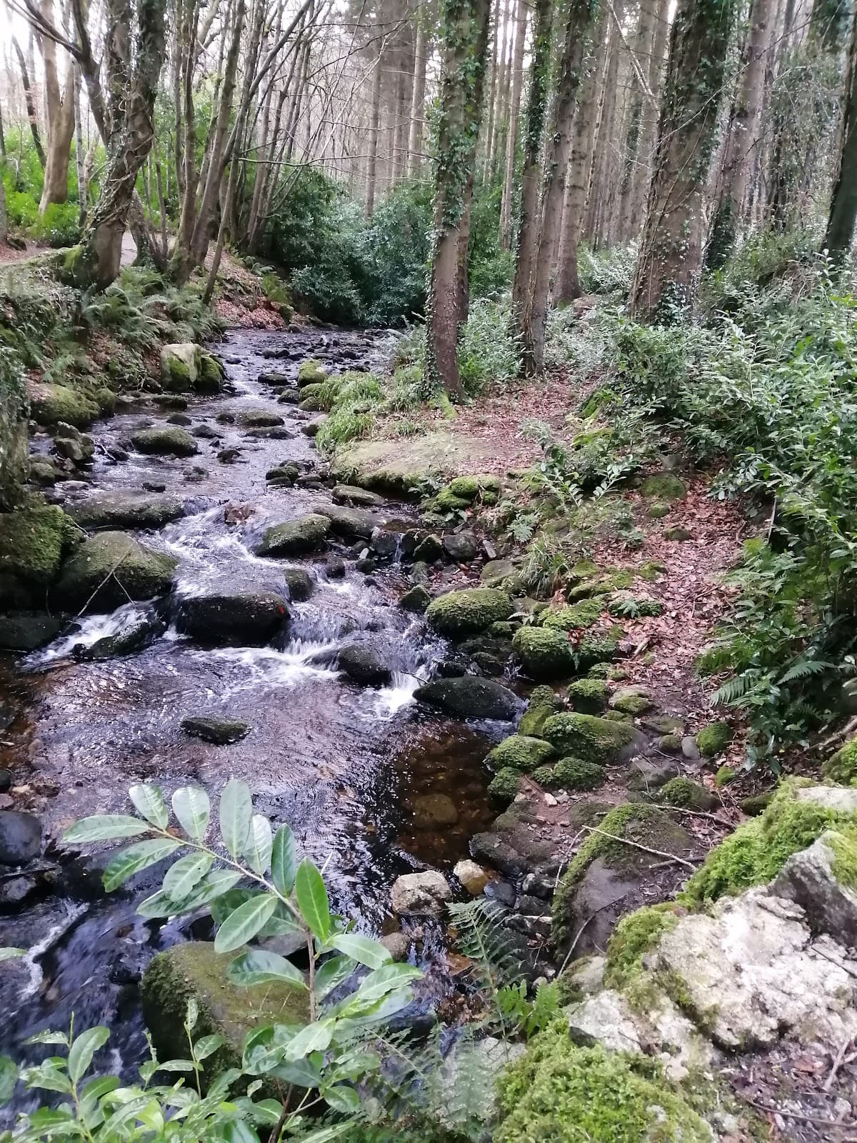 Massey's Estate - Image 1