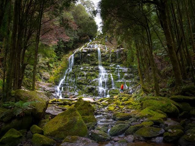 Franklin-Gordon Wild Rivers National Park Tasmania - Image 1