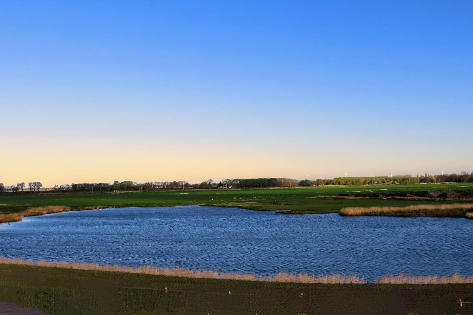 Hoorn Harbor