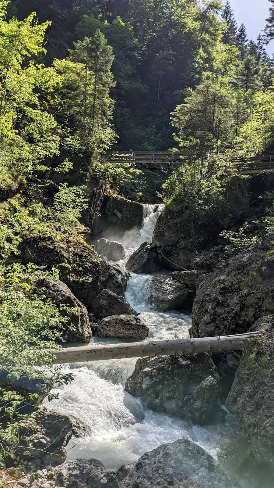 Vertical photo