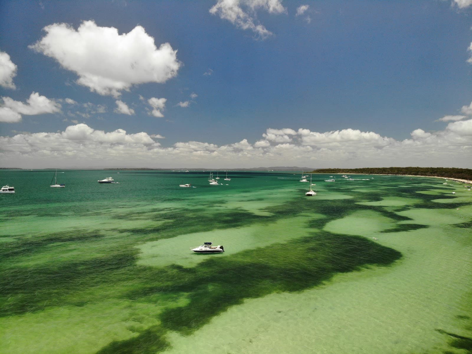 Peel Island Lazaret ruins - Image 1
