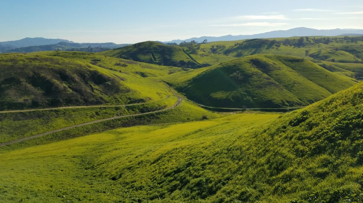 Upper Las Virgenes Canyon Open Space Preserve - Image 1