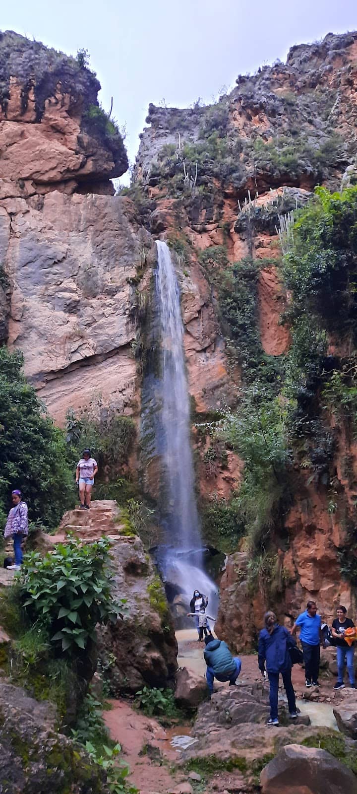 Vertical photo