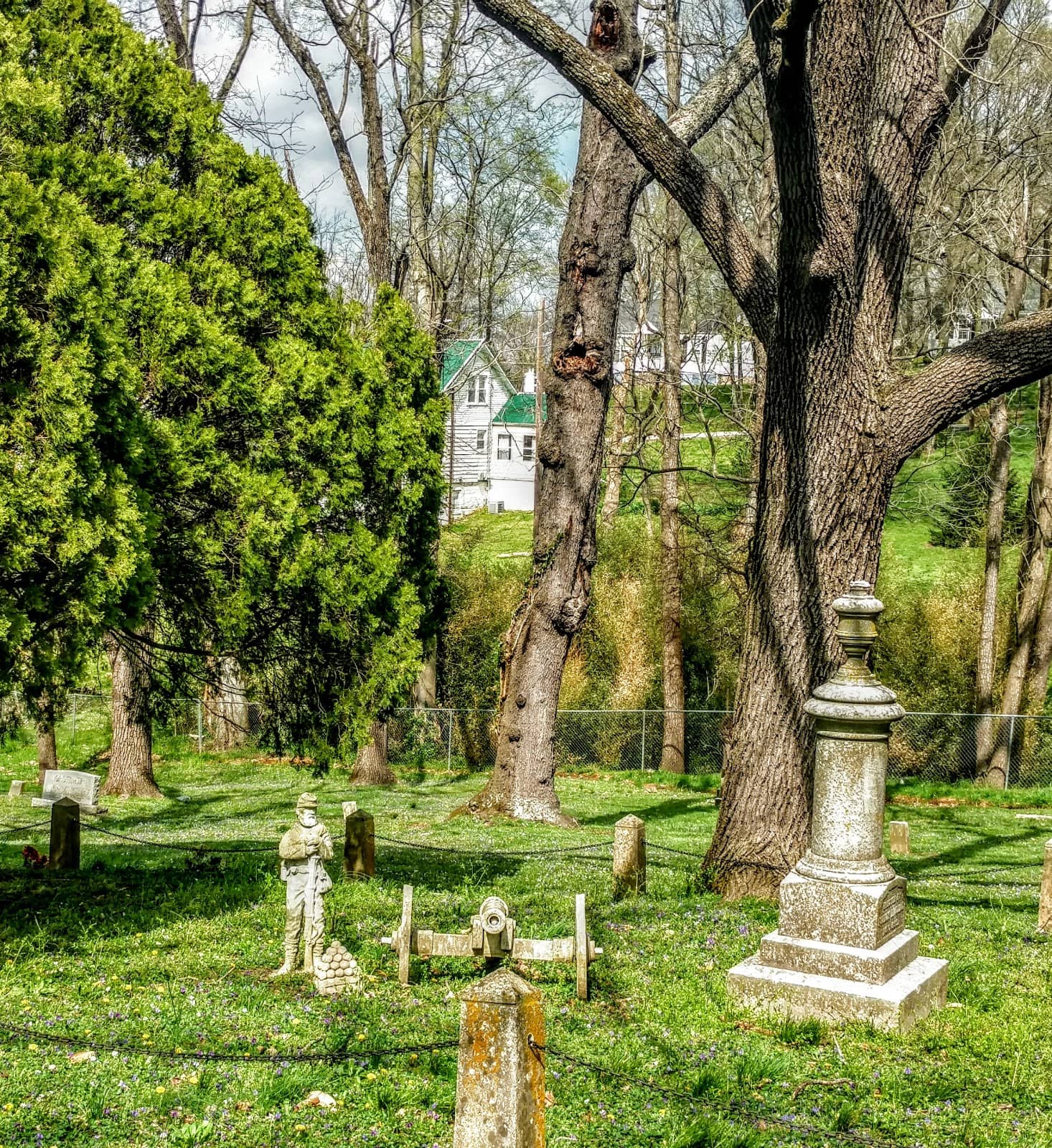 Well-Maintained Landscapes