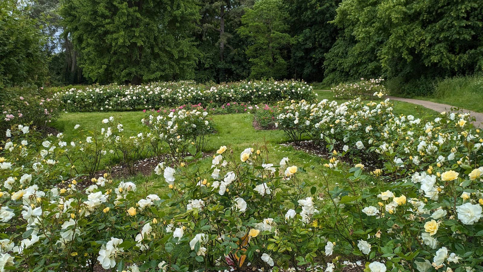 Century-Old Flower Beds