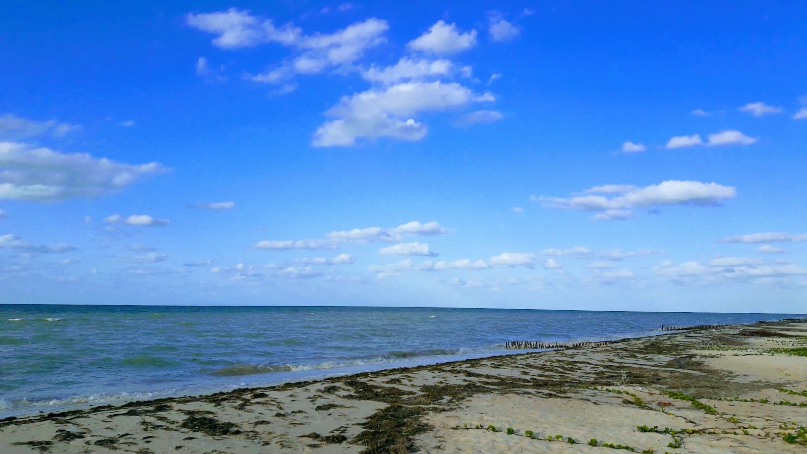 Chicxulub Puerto Yucatán - Image 1