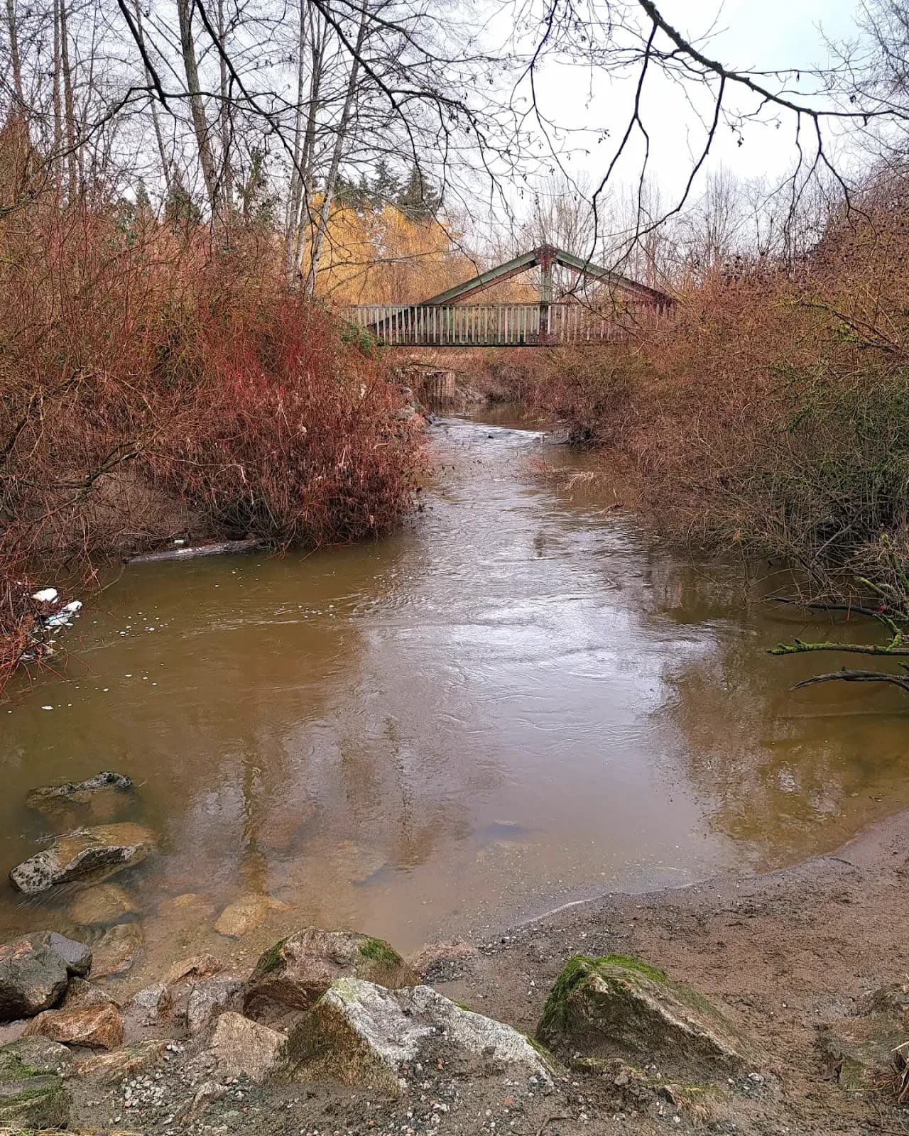 Nicomekl Floodplain Trail - Image 1