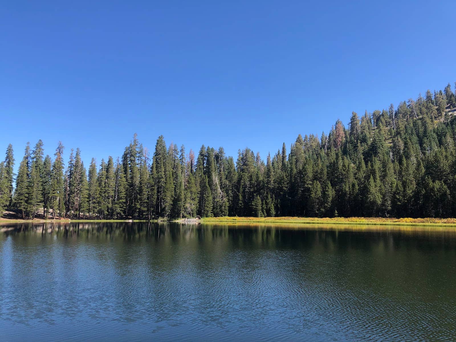 High Elevation Acclimation Hike