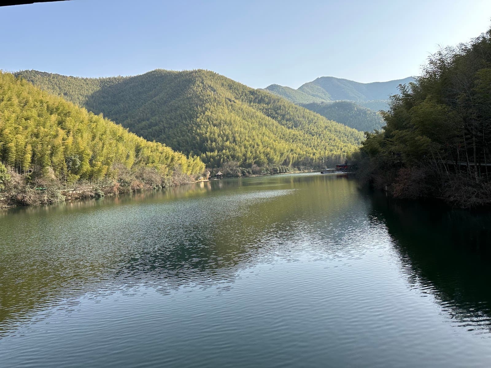 Nanshan Bamboo Sea - Image 1