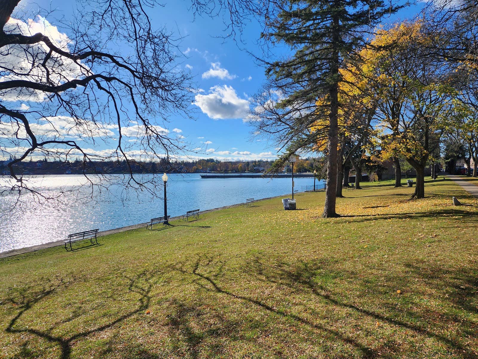 Lakeside Benches
