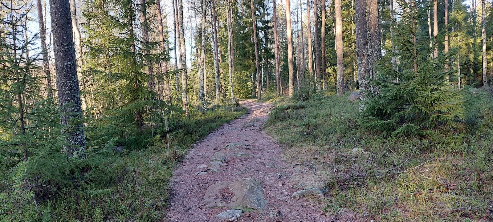 Vertical photo