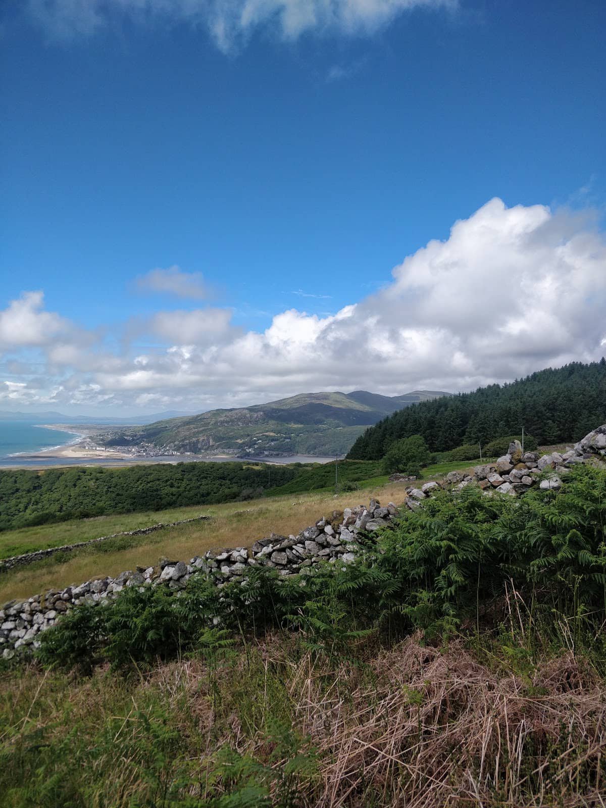 Mawddach Estuary Trail Access