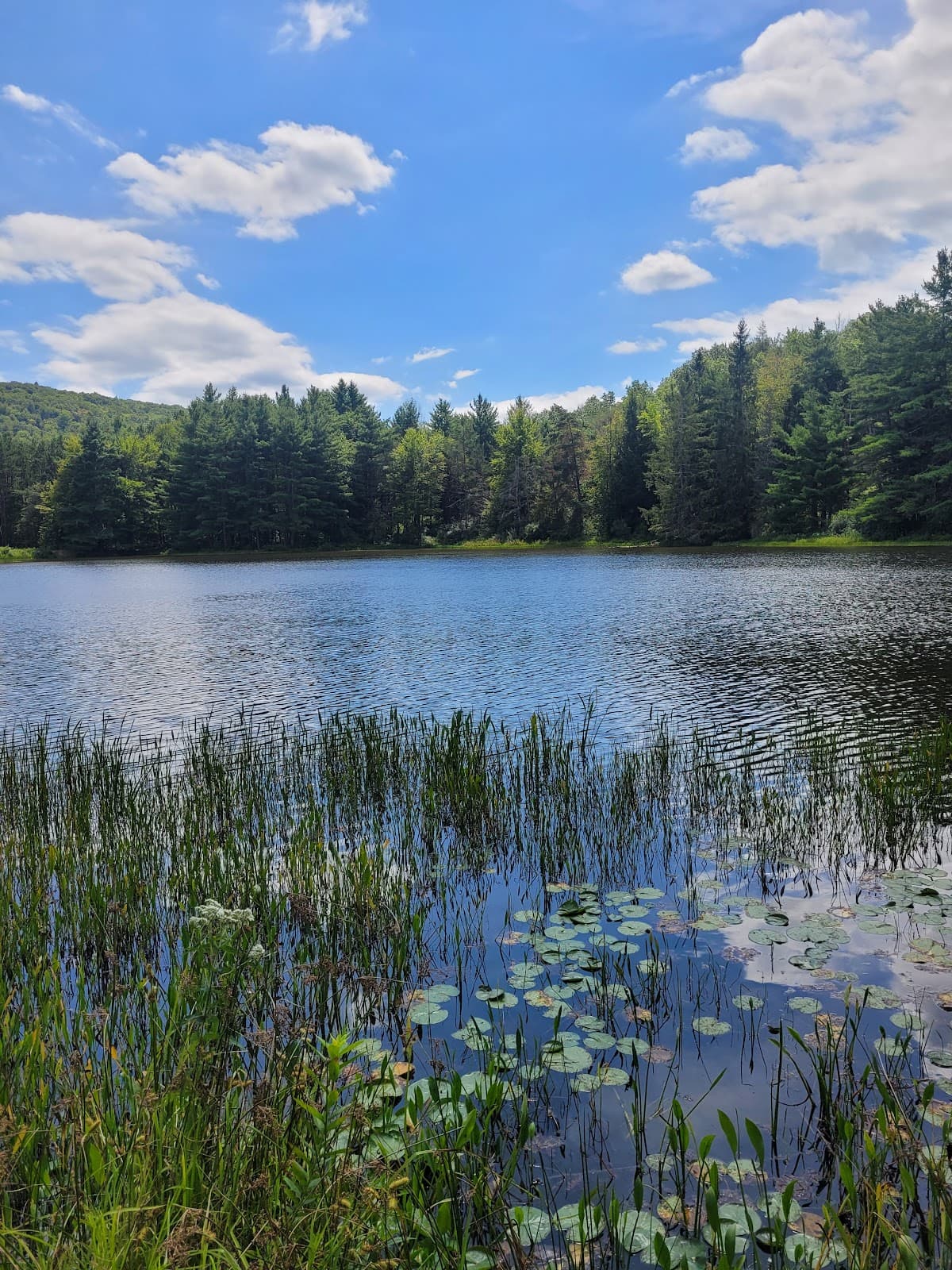 Aqua Terra Wilderness Area - Image 1