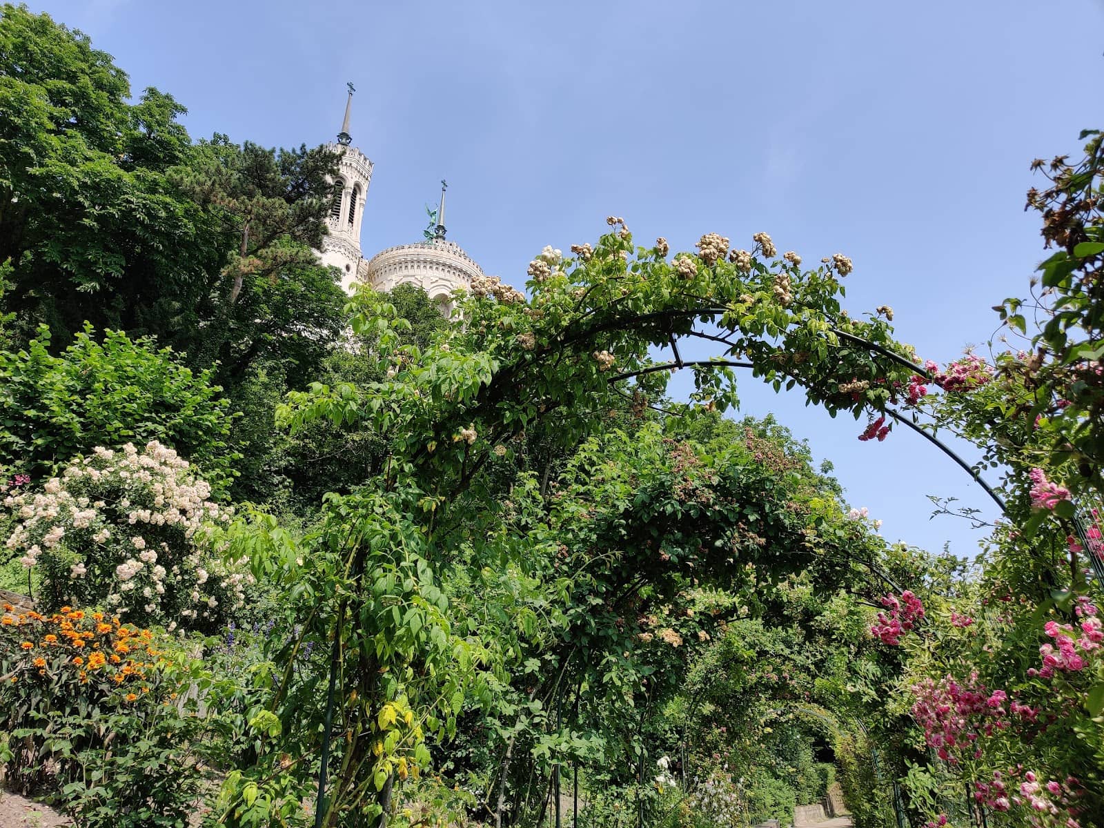 Vertical photo