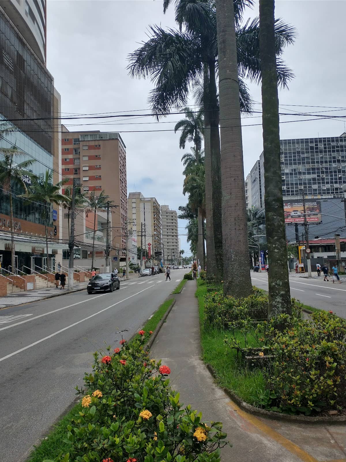 Local Commerce and Dining