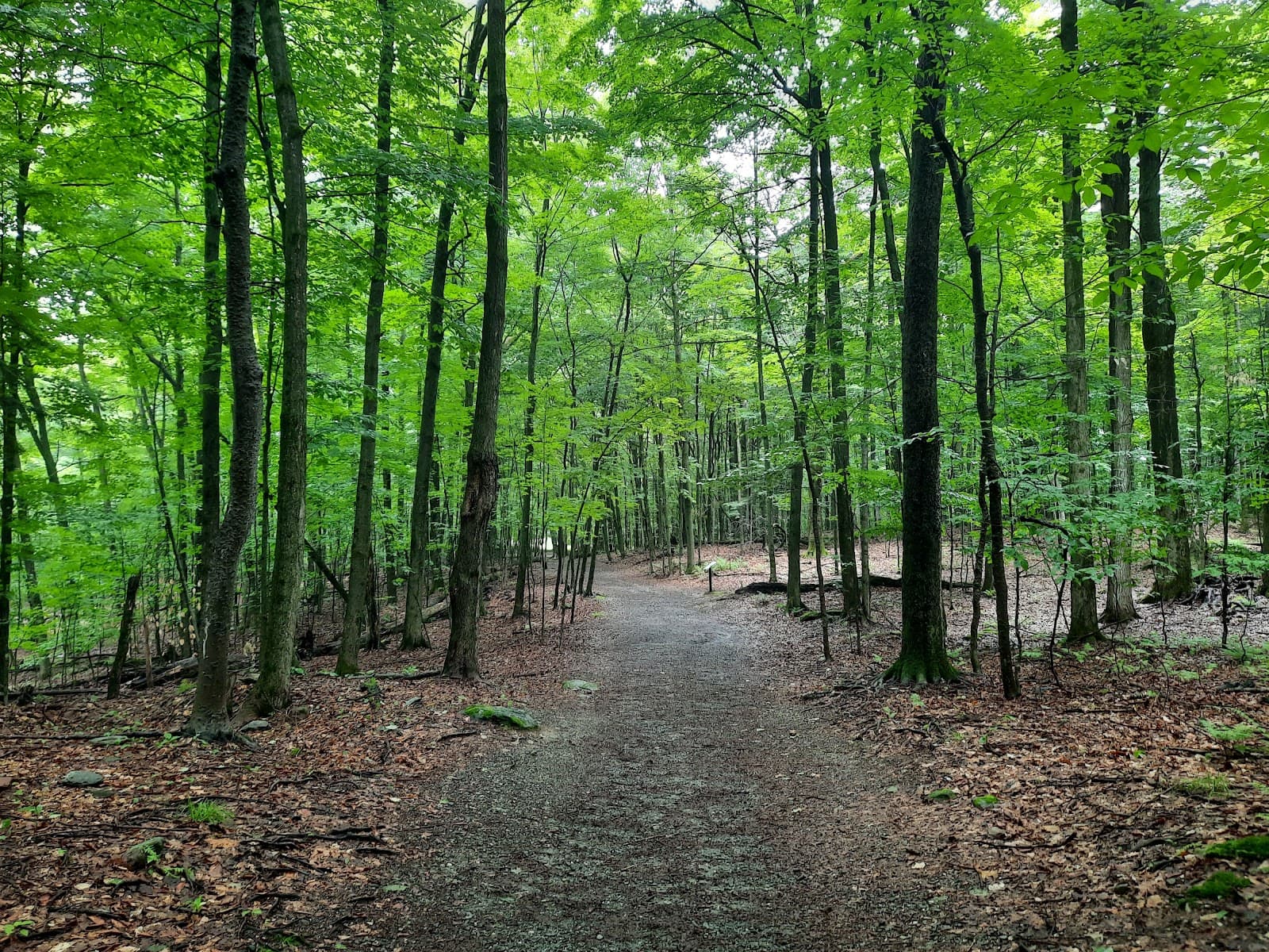 Beckett Woods Park - Image 1