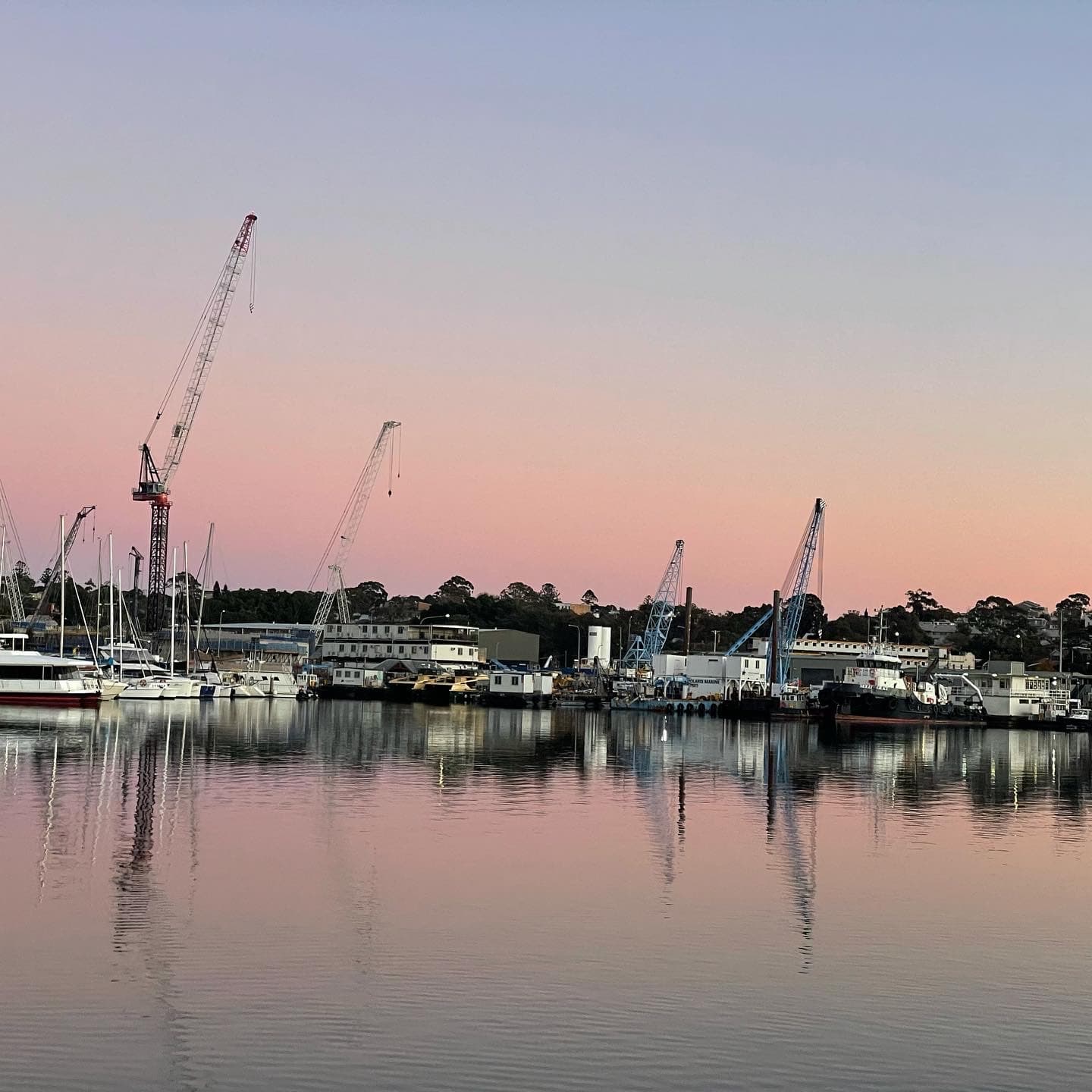 Rozelle Bay Sydney - Image 1