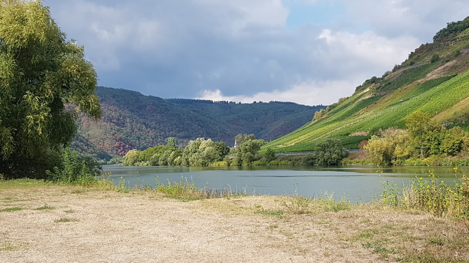 Mosel Cycle Path (Moselradweg) - Image 1