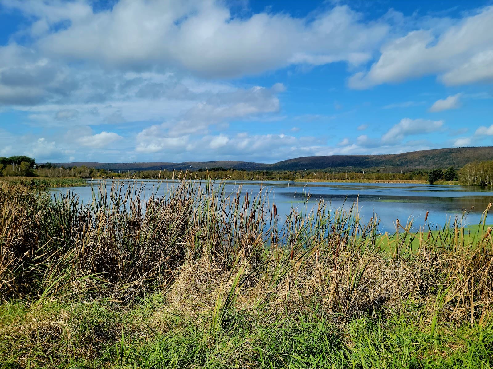 French Basin Trail - Image 1