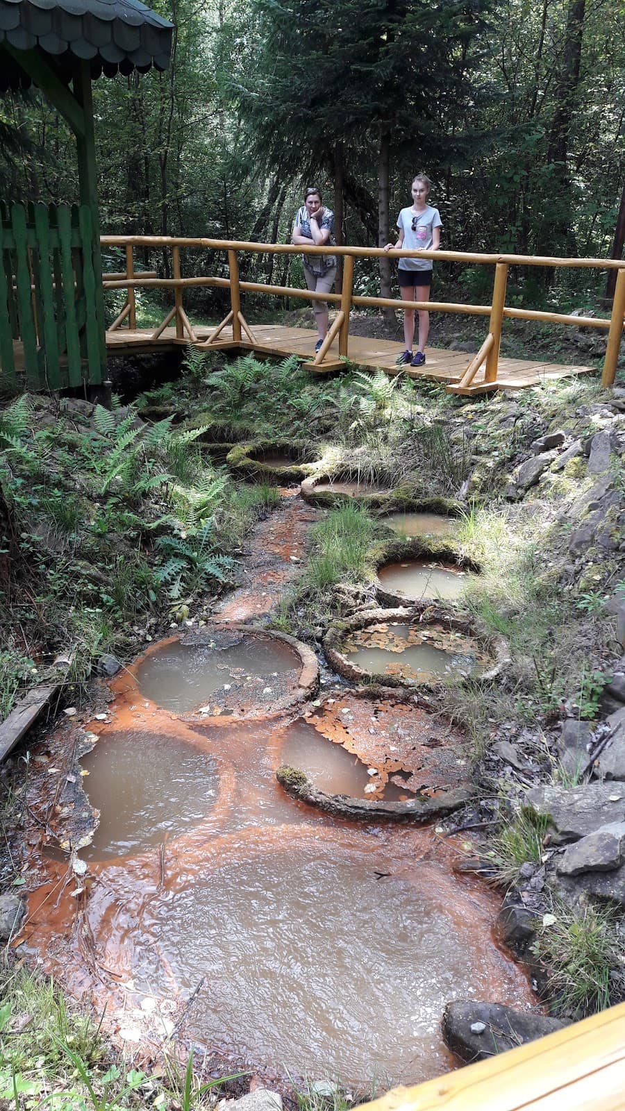 Tylicz Mofeta - Image 1