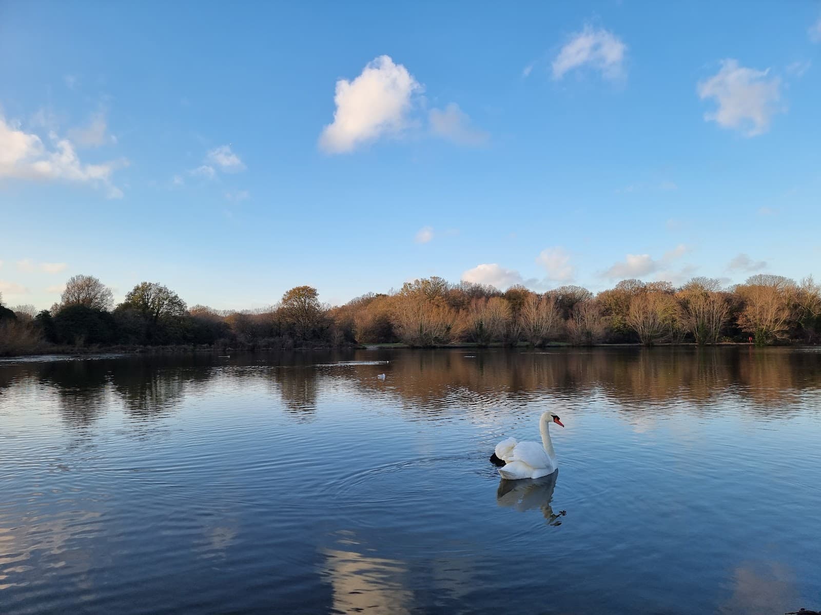 Hainault Forest Country Park - Image 1