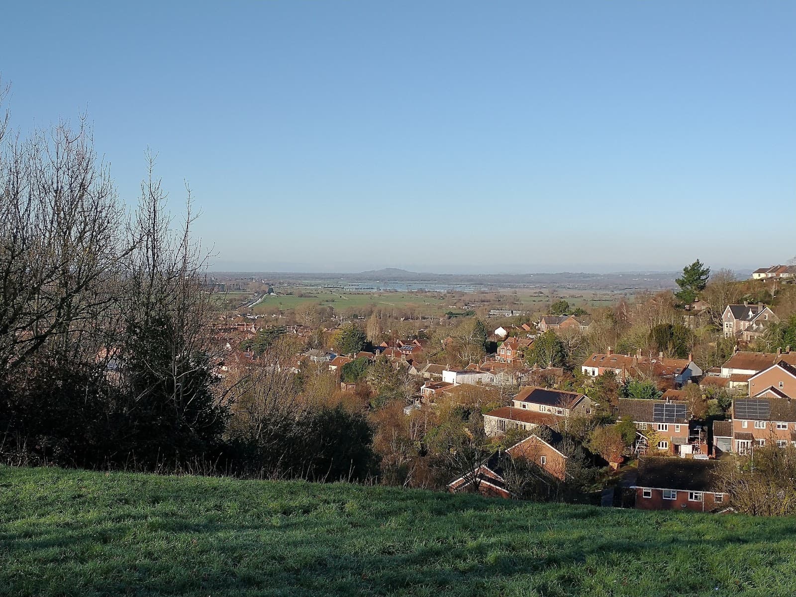 Bushy Coombe - Image 1