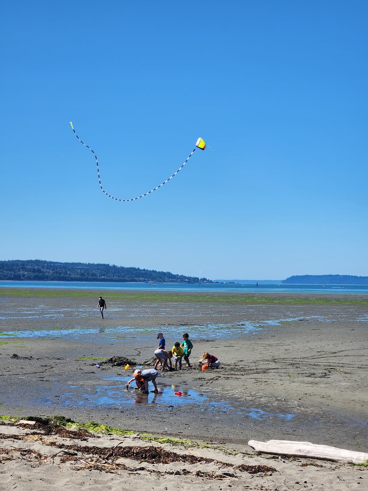 Jetty Island - Image 1
