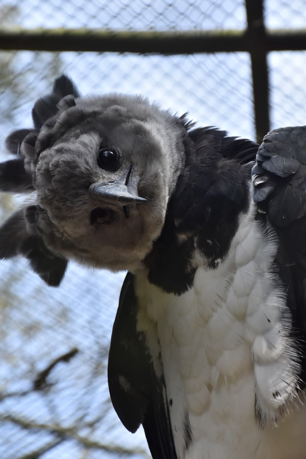 Parque Zoológico de Sapucaia do Sul - Image 1