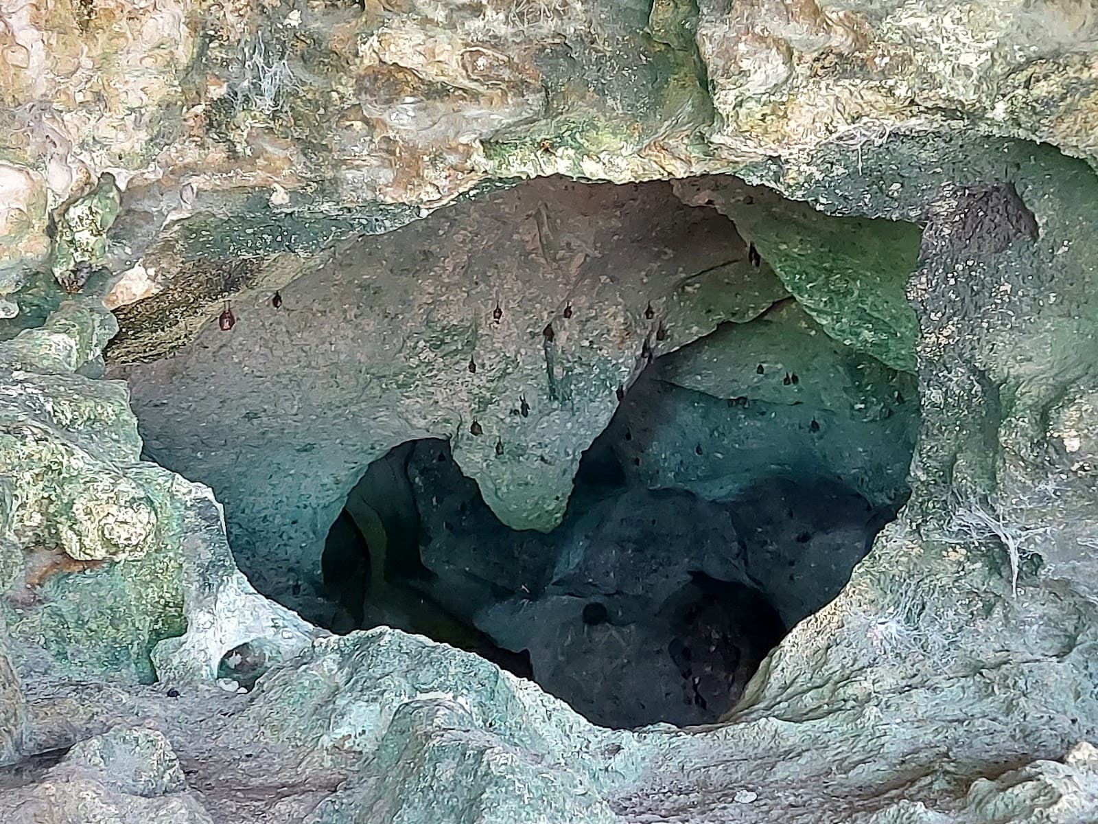 The Caves New Providence - Image 1