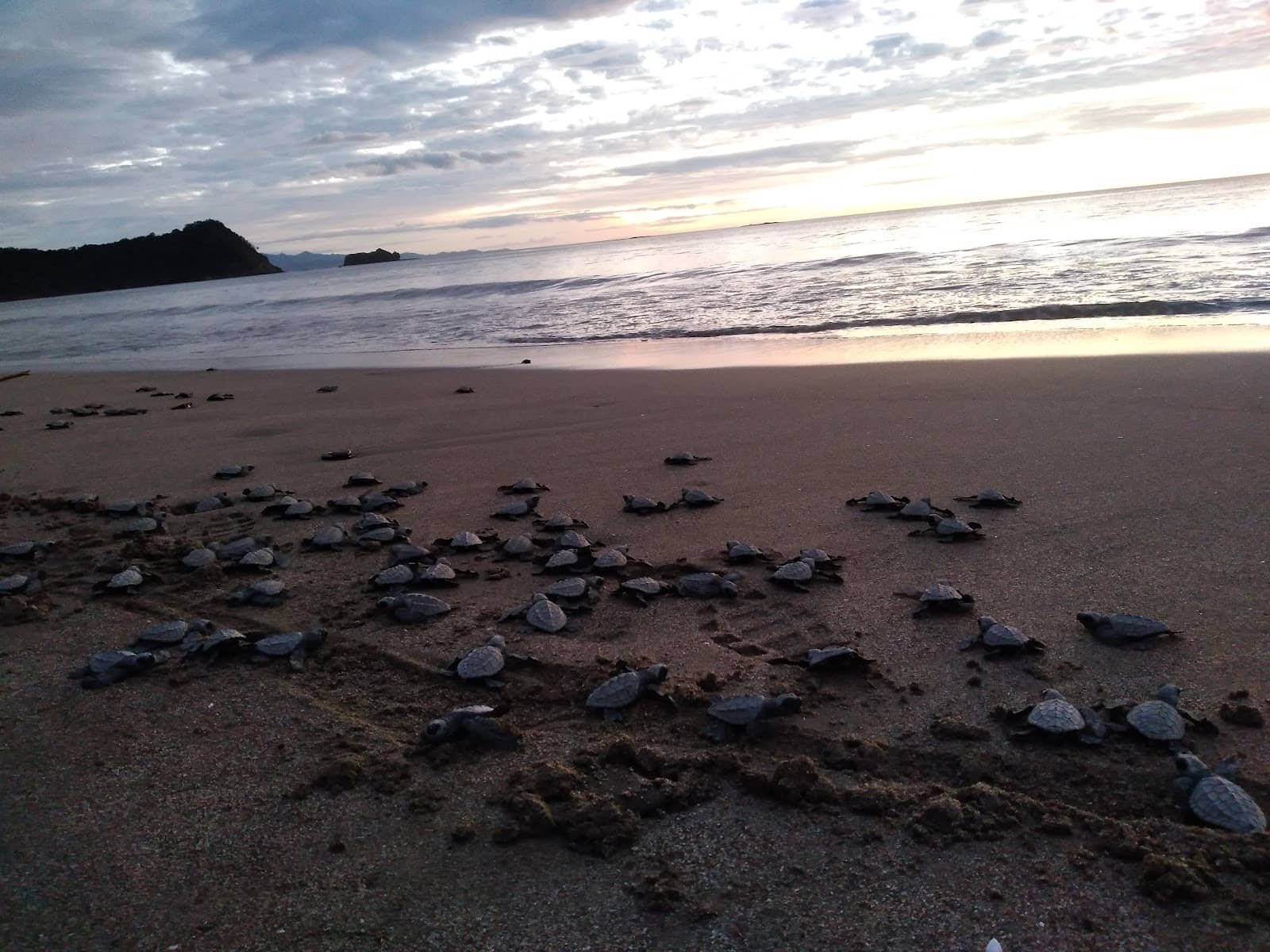 Pristine Beach Scenery