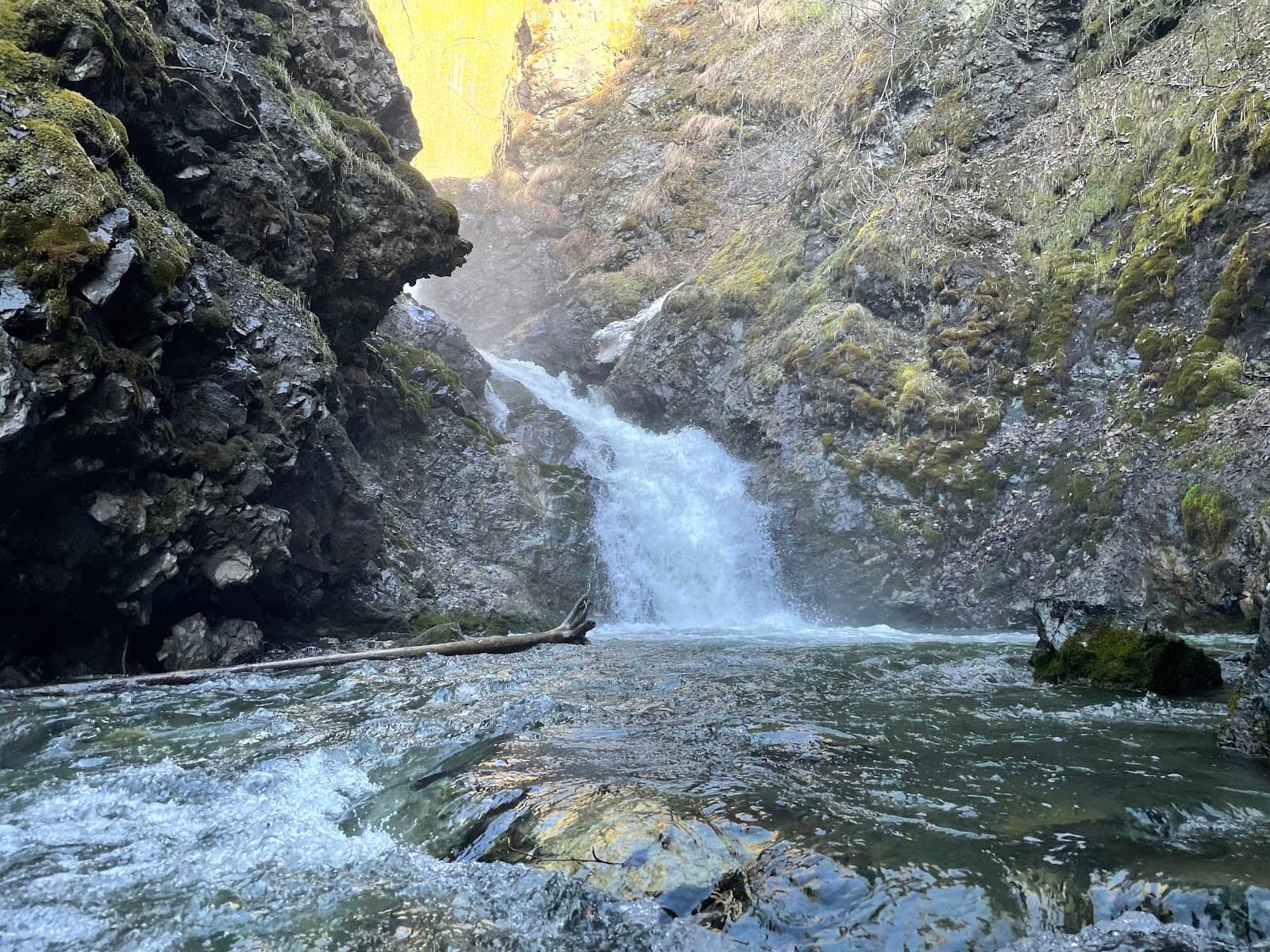 Vertical photo