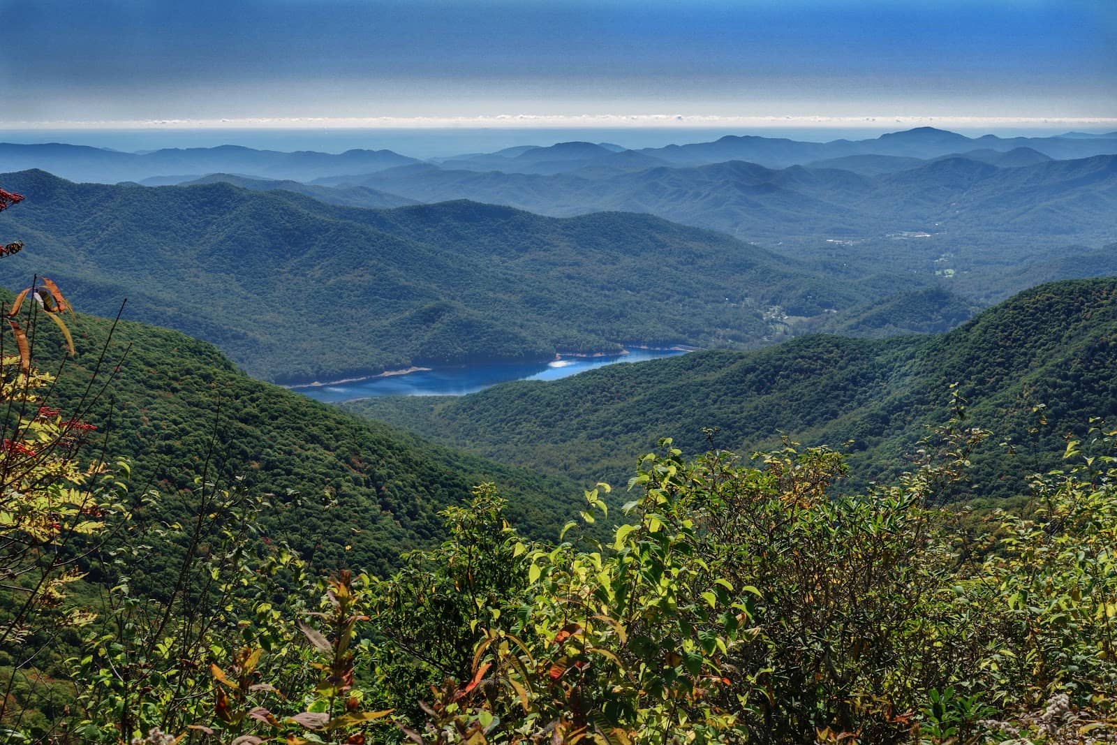 Autumn Leaf Spectacle