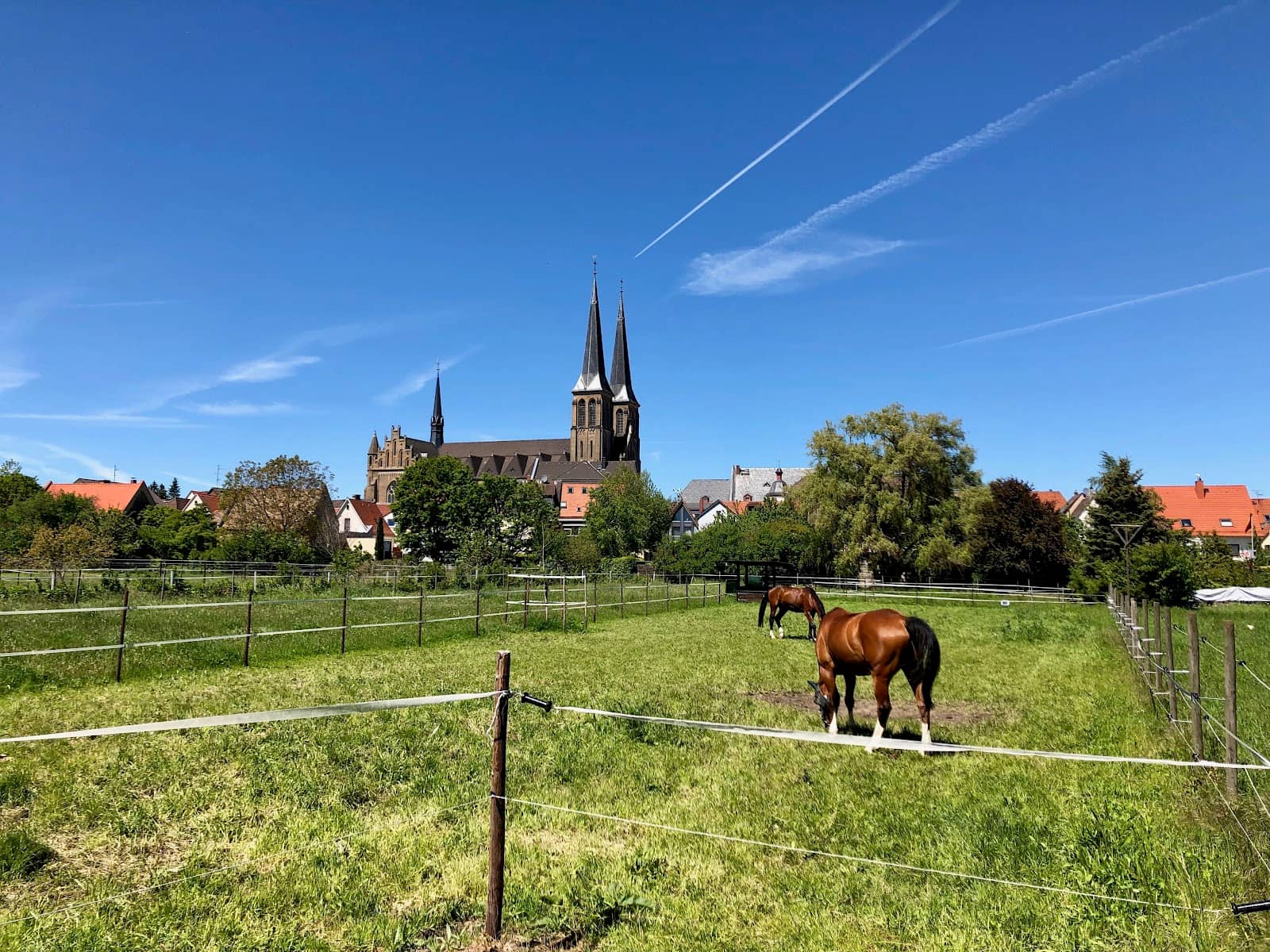 Gonsenheimer Kreppelbude