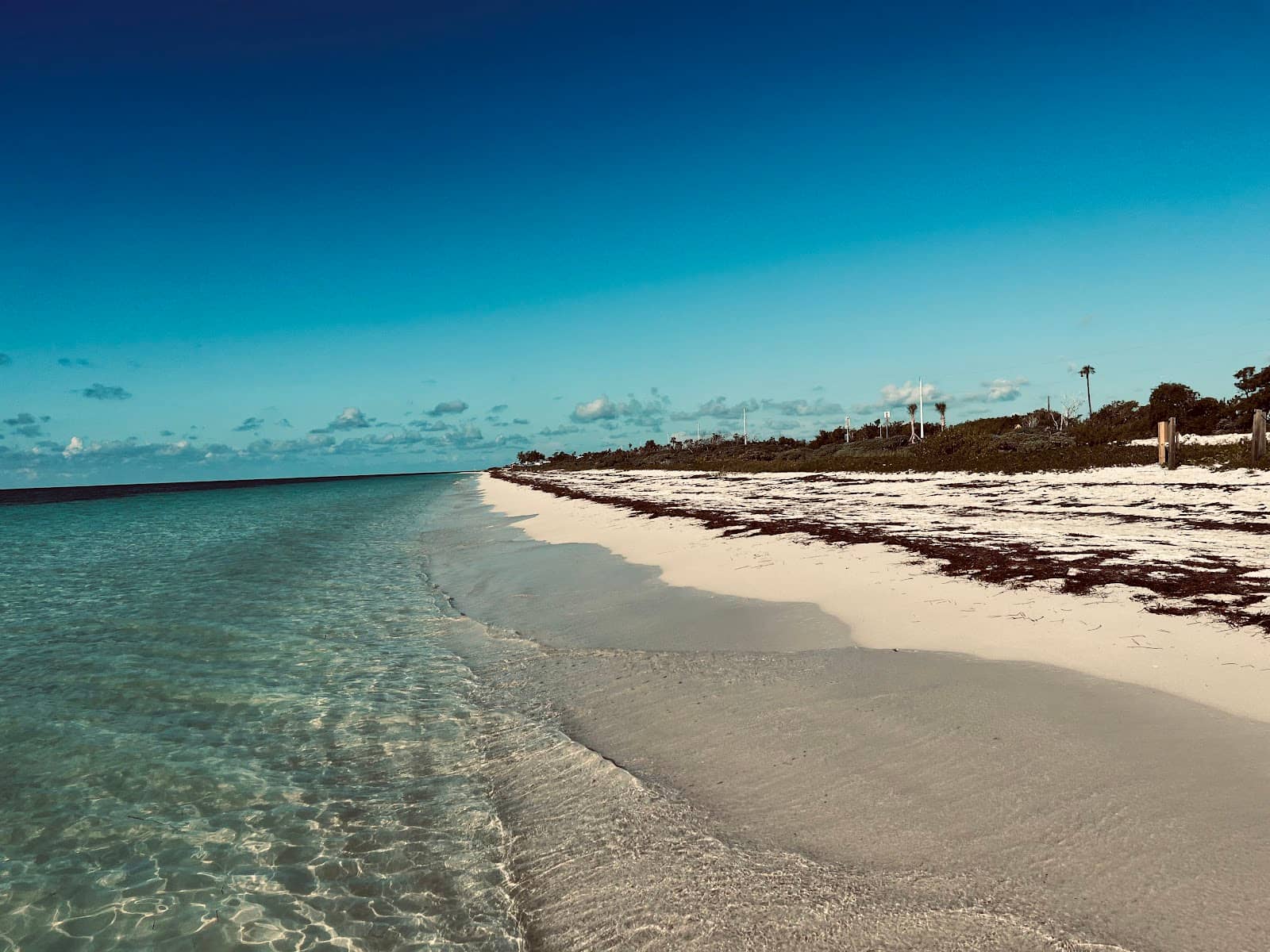 Sandspur Beach