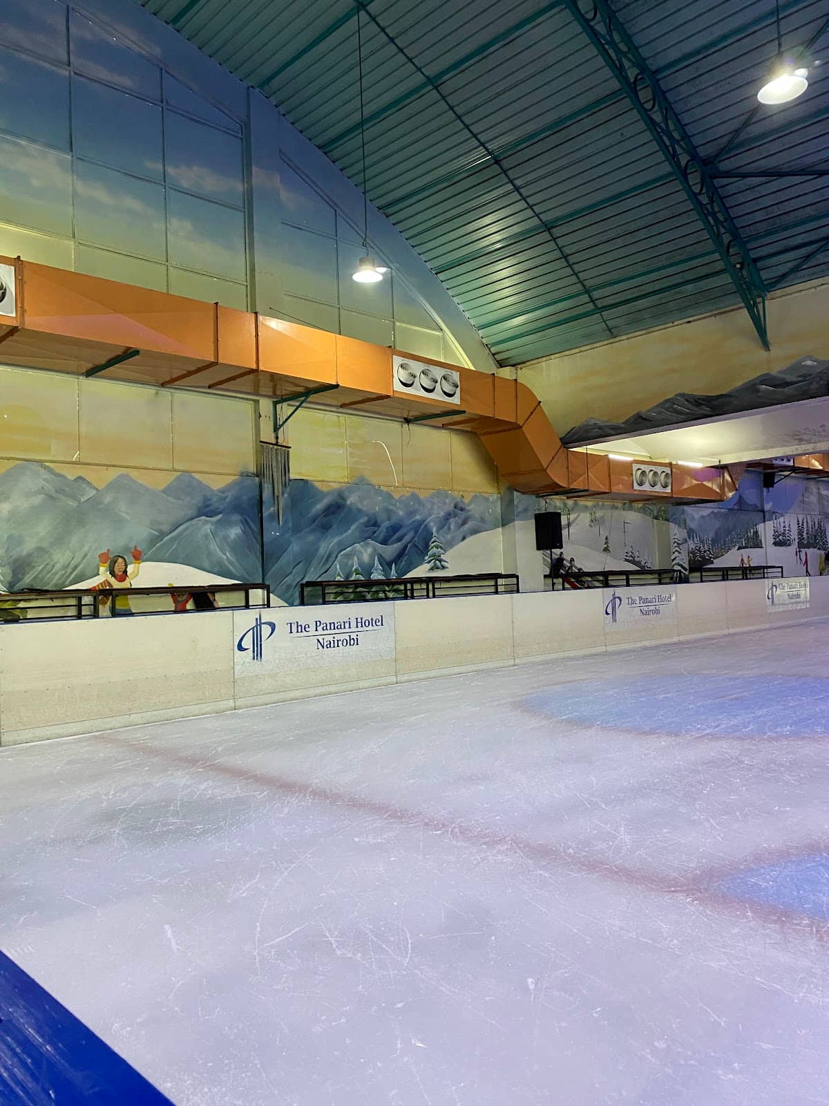 Beginner-Friendly Skating