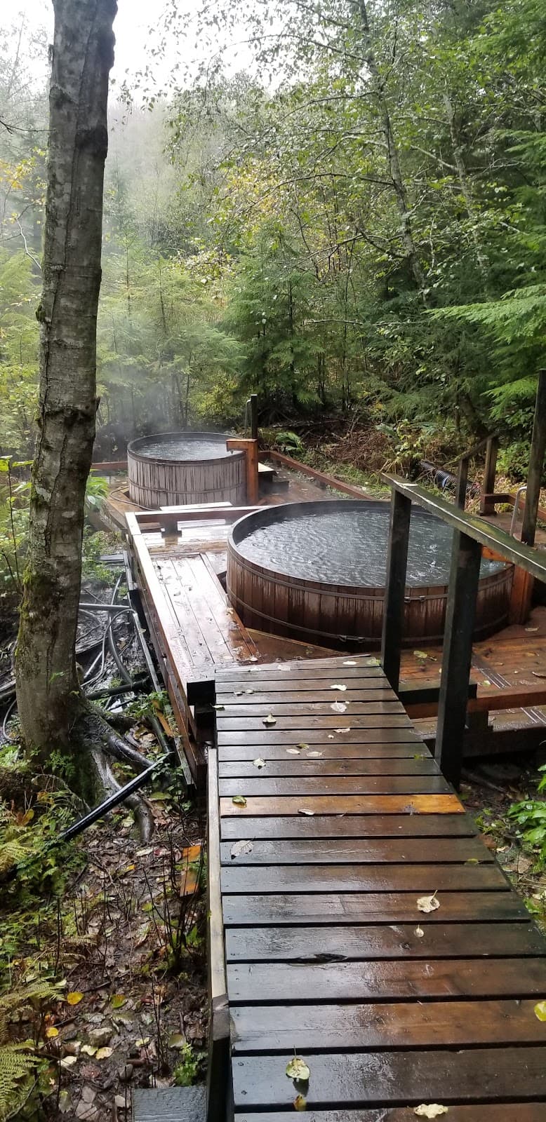 Gitwinksihlkw Suspension Bridge - Image 1