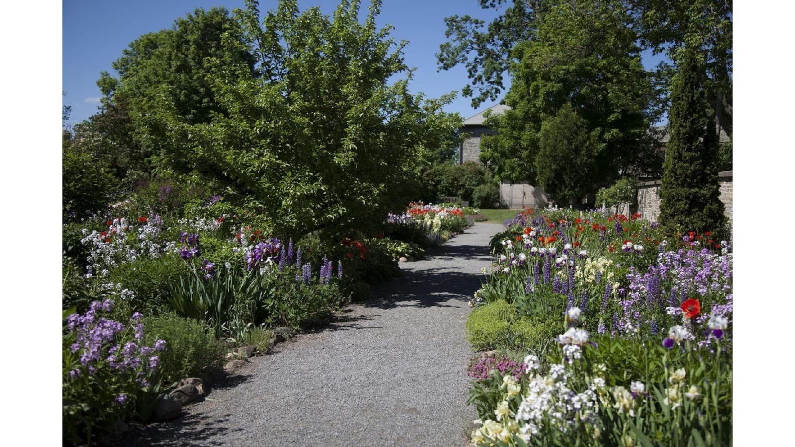 Maplelawn Garden - Image 1