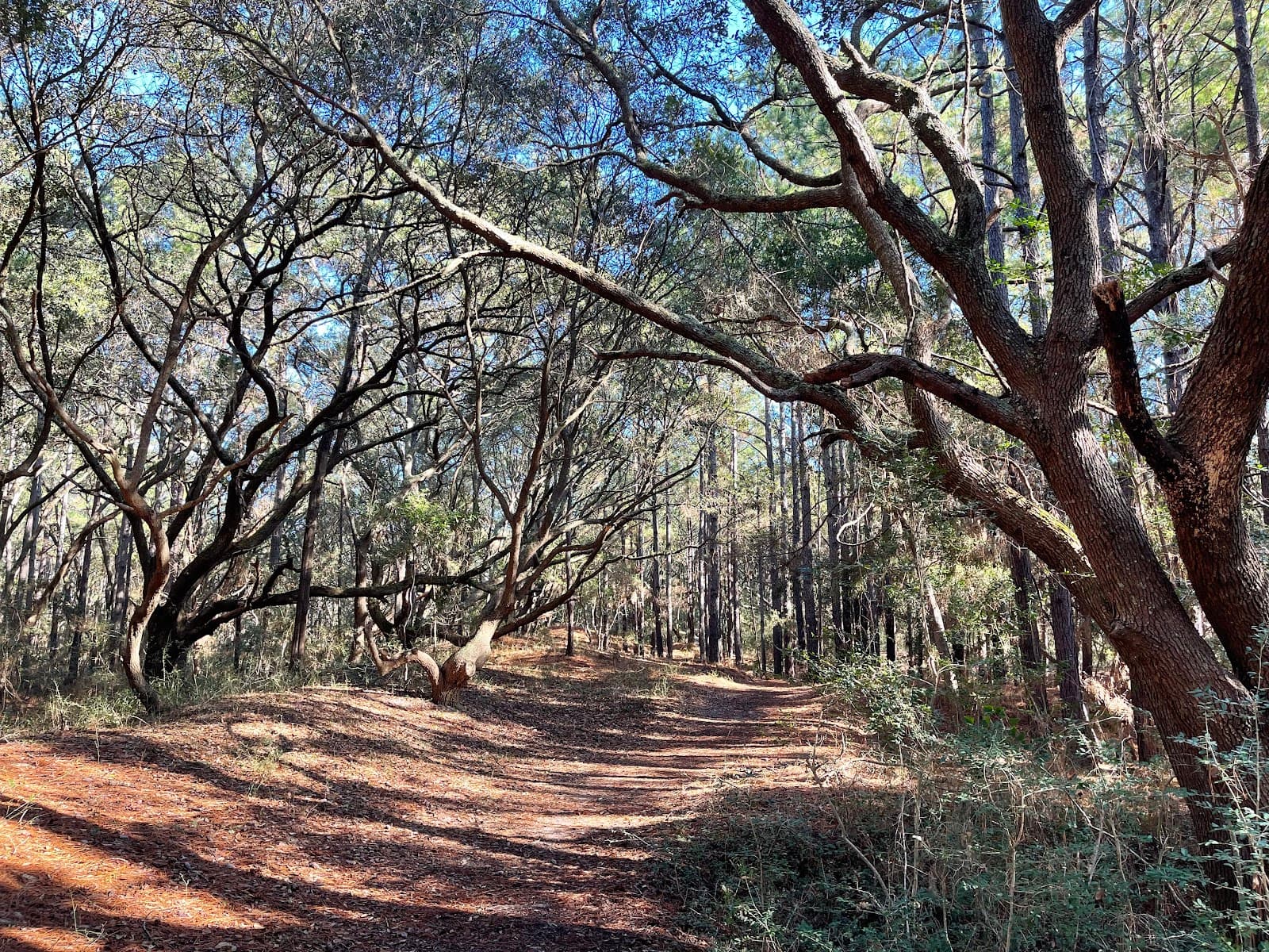 Sandpiper Pond Nature Trail - Image 1