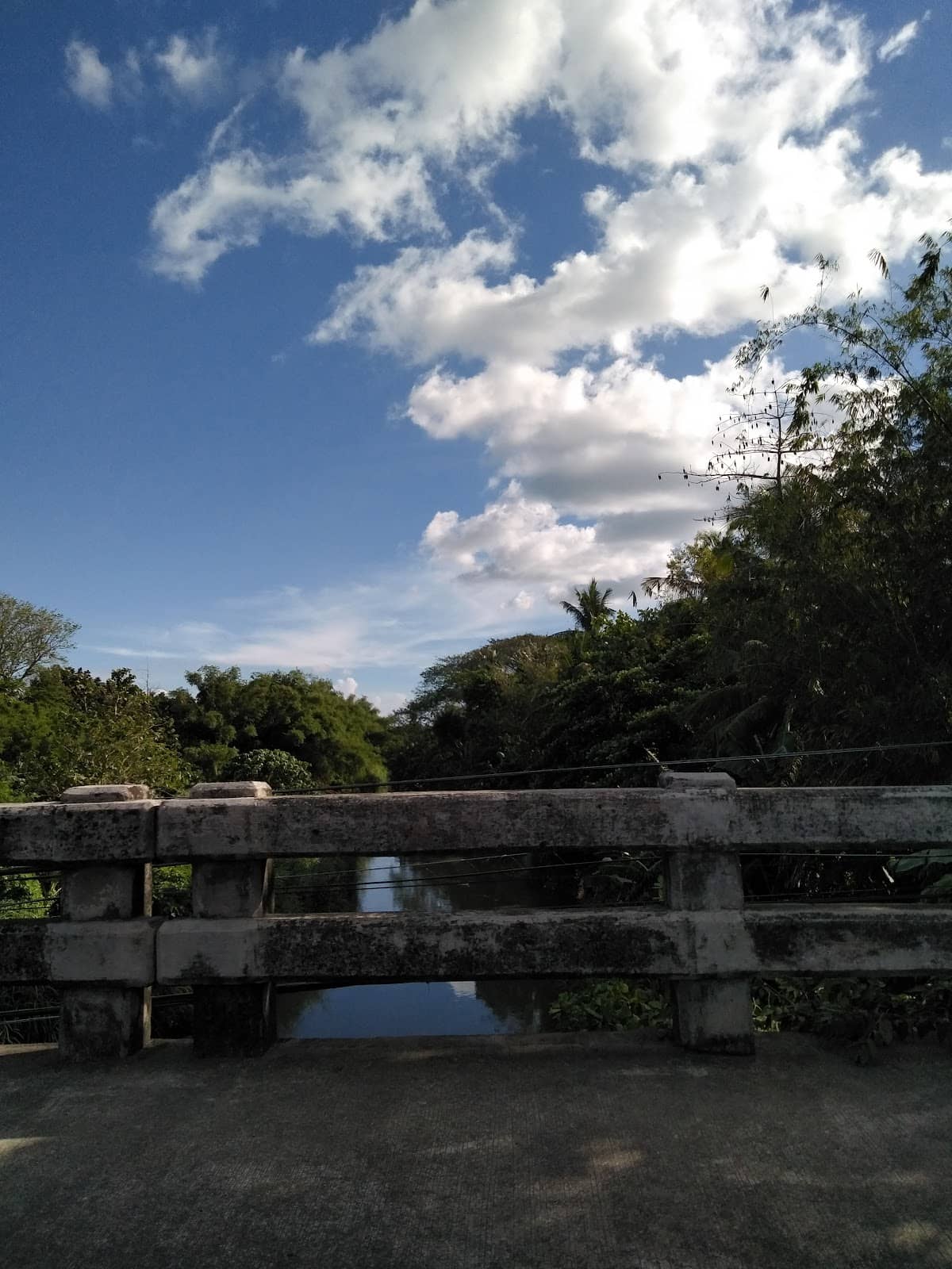 Vertical photo