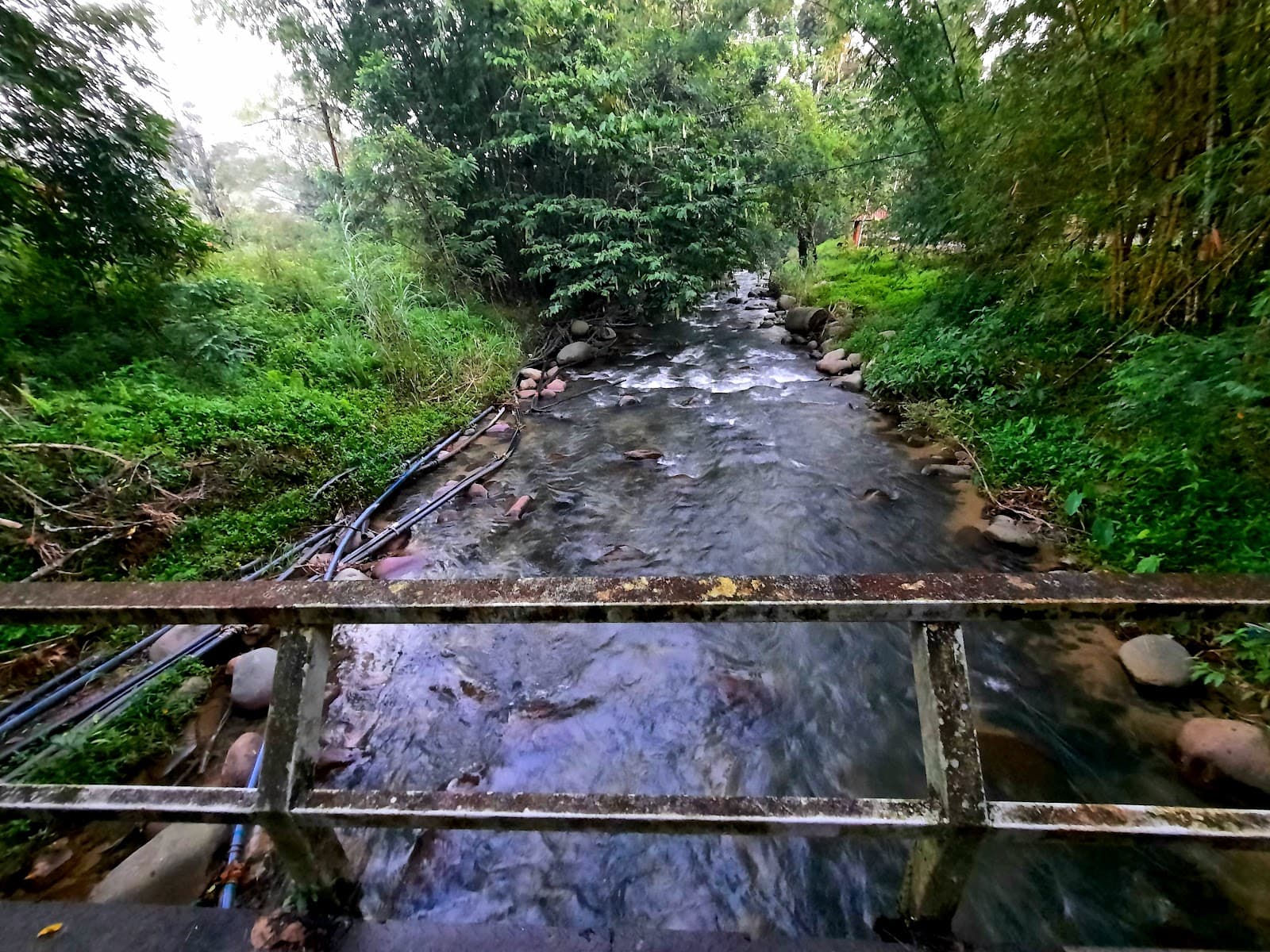 Sungai Benus Recreation Area - Image 1