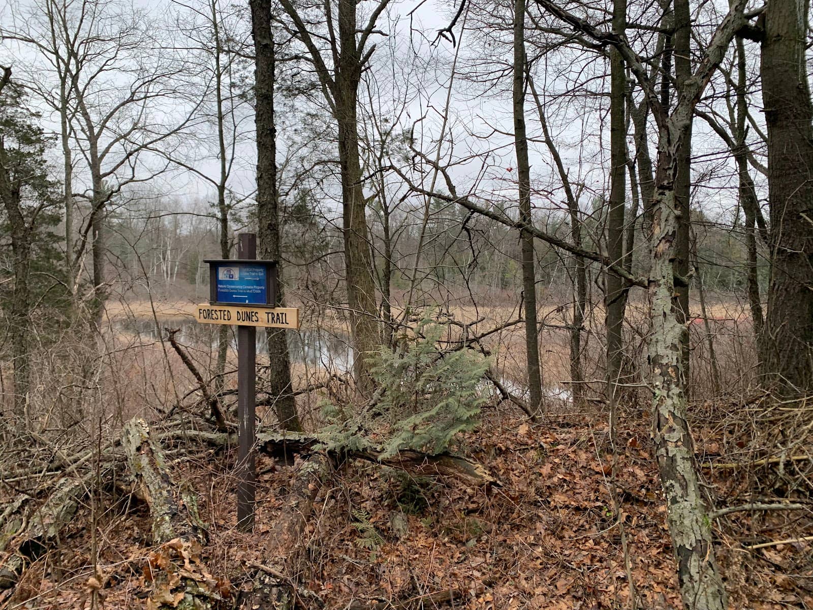 Water Body Views