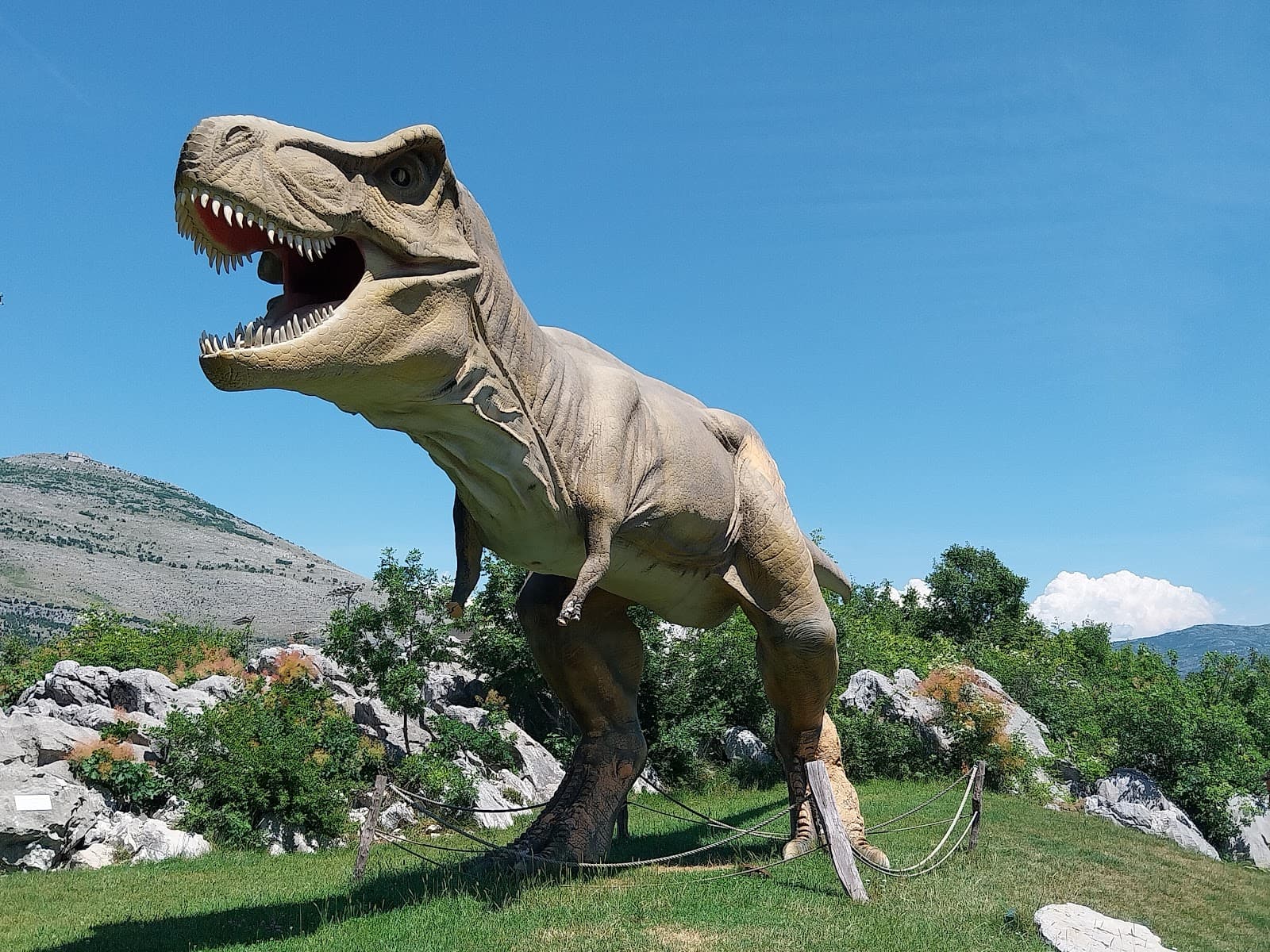 Grad Sunca (City of the Sun) - Image 1