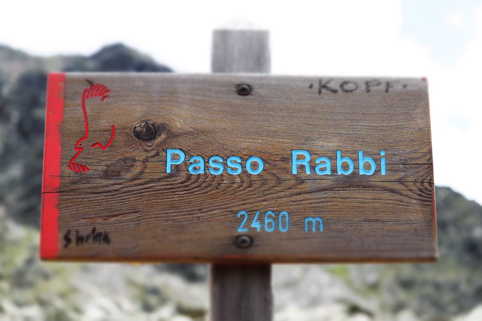 Passo Rabbi - Image 1