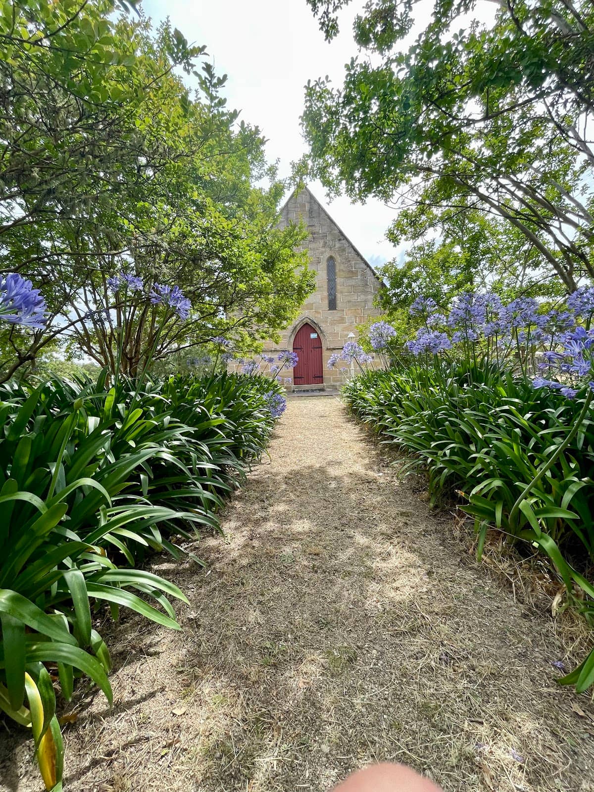 Vertical photo