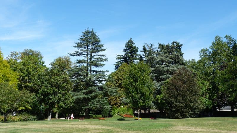 Parc du Poutyl Olivet - Image 1